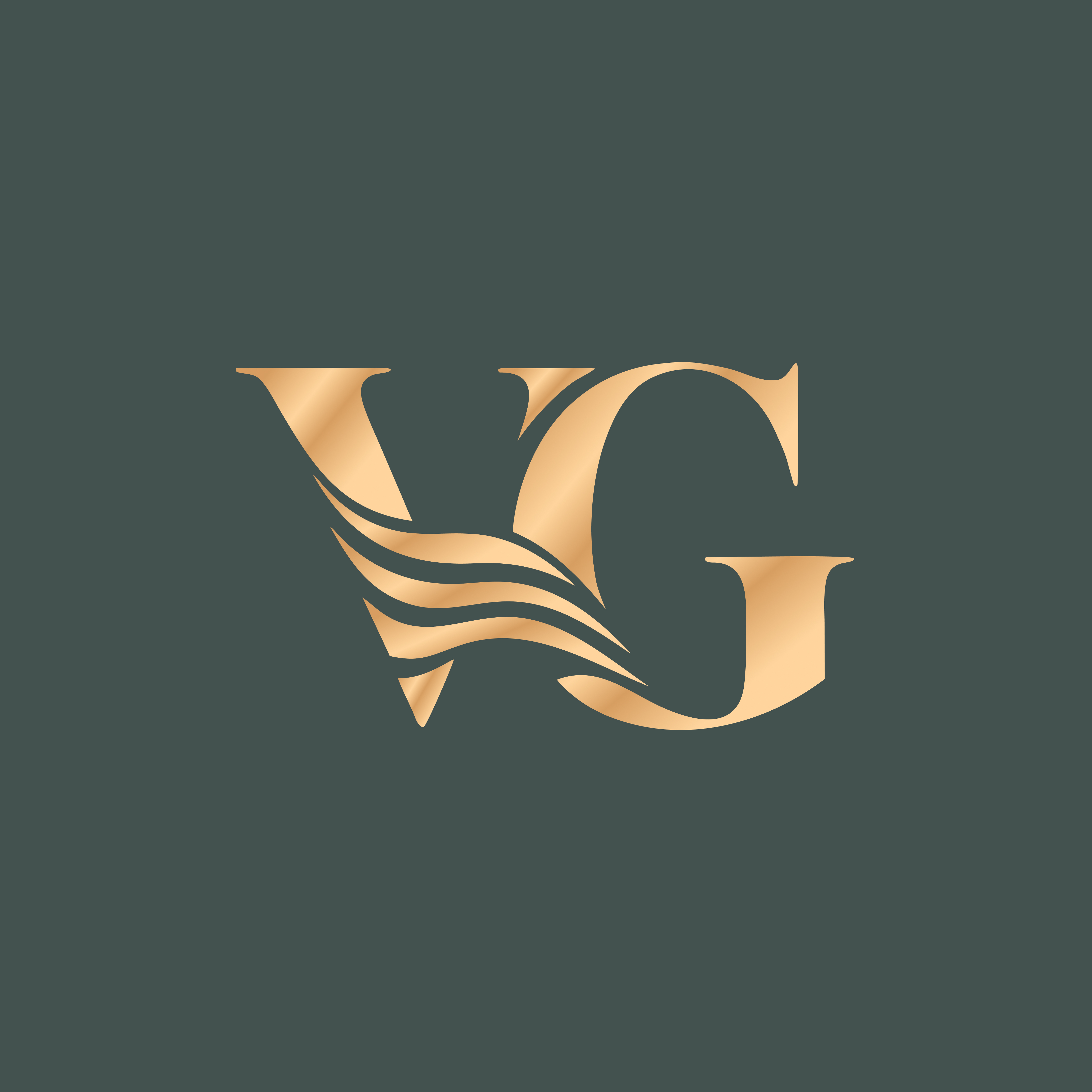Logo Valdenir Gomes